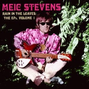 Cover for Meic Stevens · Rain in the Leaves: the Eps 1 (CD) (2006)