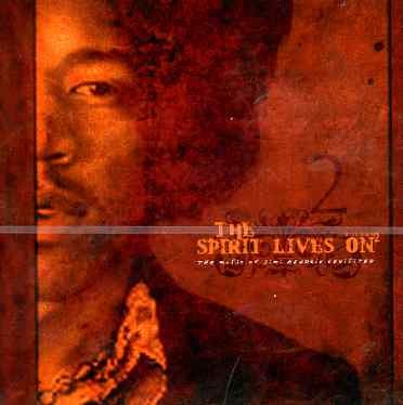 Jimi Hendrix Tribute - The Spirit Lives On Vol. 2 - Various Artists - Musiikki - LION MUSIC - 6419922001110 - torstai 22. heinäkuuta 2004