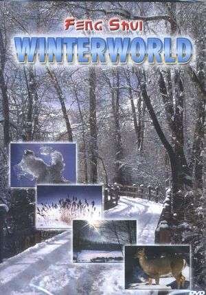 Cover for Feng Shui · Winterworld (DVD) (2004)