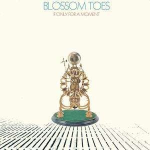Cover for Blossom Toes · If Only for a Moment (LP) (2014)