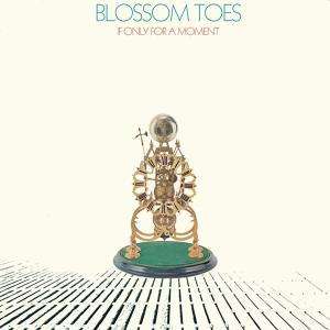 Cover for Blossom Toes · If Only for a Moment (LP) (2014)