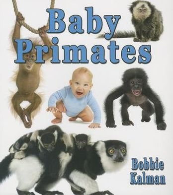 Cover for Bobbie Kalman · Baby Primates - Its Fun to Learn About Baby Animals (Paperback Book) (2013)