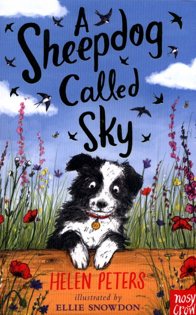 Cover for Helen Peters · A Sheepdog Called Sky - The Jasmine Green Series (Taschenbuch) (2017)