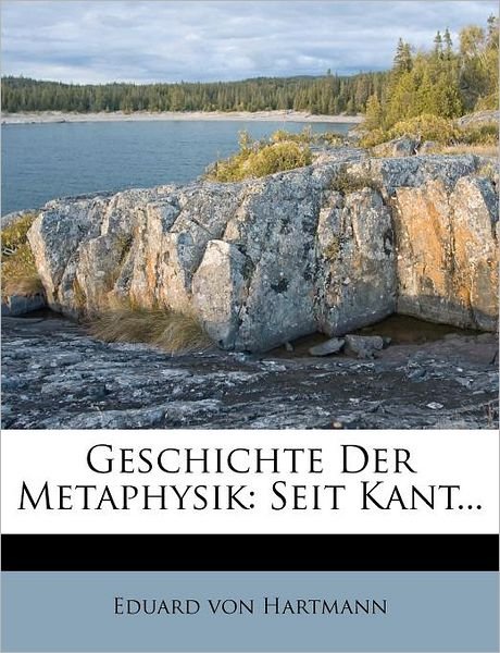 Cover for Hartmann · Geschichte Der Metaphysik: Sei (Bog) (2011)