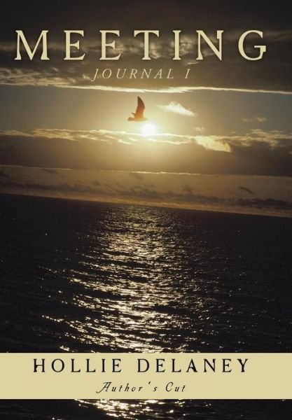 Cover for Hollie Delaney · Meeting: Journal I (Inbunden Bok) (2011)