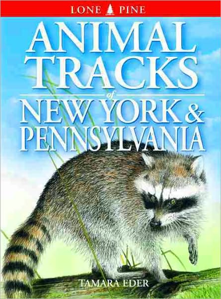 Cover for Tamara Eder · Animal Tracks of New York and Pennsylvania (Paperback Book) (2001)