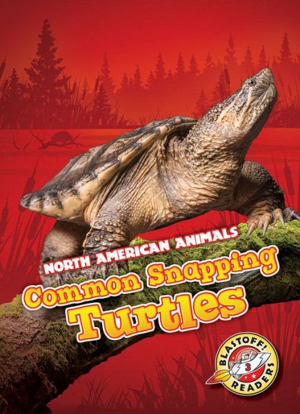 Cover for Rebecca Sabelko · Common Snapping Turtles (Hardcover Book) (2019)