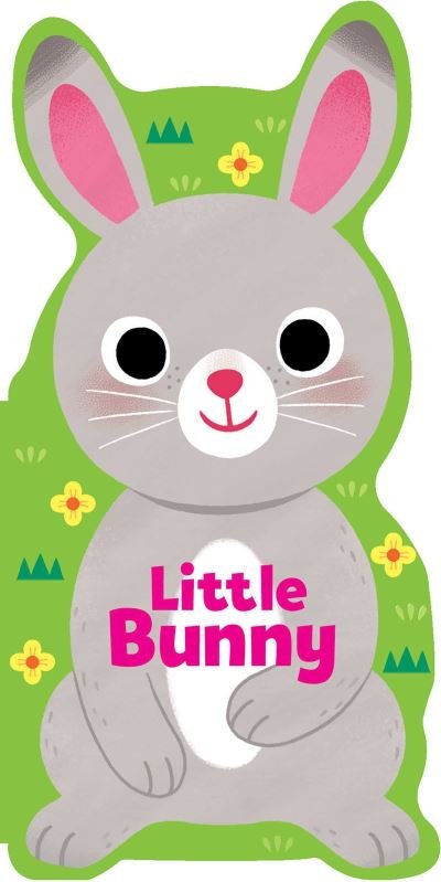 Cover for Maggie Fischer · Little Bunny - Little Shaped Board Books (Board book) (2024)