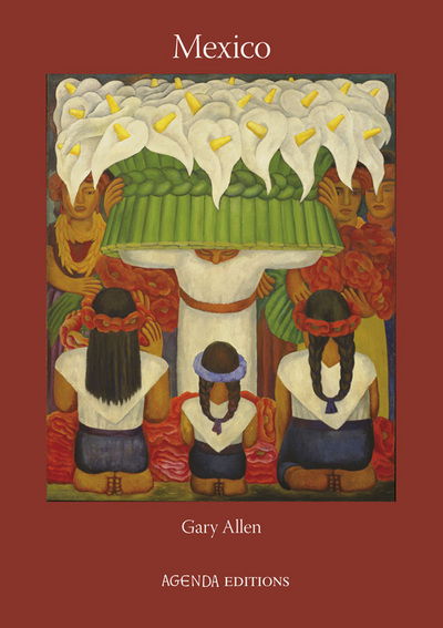 Cover for Gary Allen · Mexico (Paperback Book) (2013)