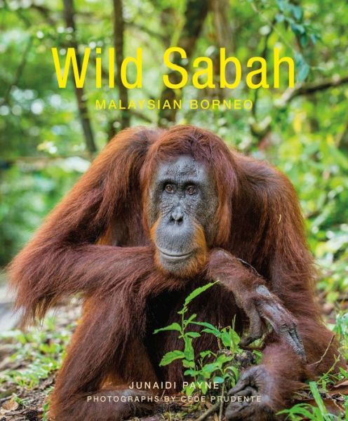 Cover for Junaidi Payne · Wild Sabah (2nd edition) (Paperback Book) [2 Revised edition] (2019)