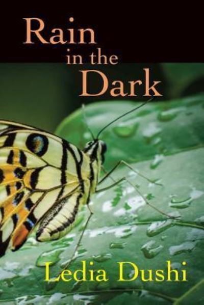 Rain in the Dark - Ledia Dushi - Books - Transcendent Zero Press - 9781946460110 - February 24, 2019