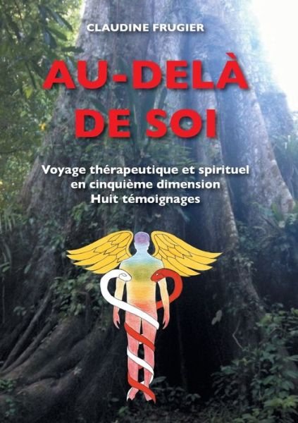 Cover for Frugier · Au-delà de Soi (Book) (2017)