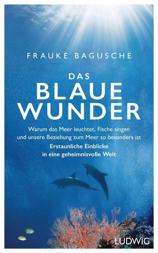 Cover for Bagusche · Das blaue Wunder (Book)