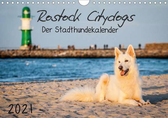 Cover for Langer · Rostock Citydogs - Der Stadthund (Book)