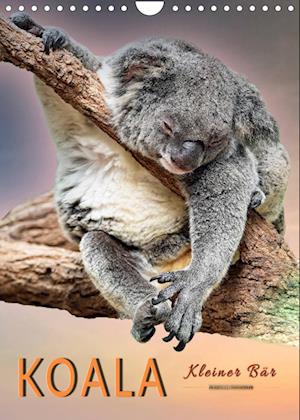 Cover for Peter Roder · Koala, kleiner Bär (Wandkalender 2022 DIN A4 hoch) (Calendar) (2021)