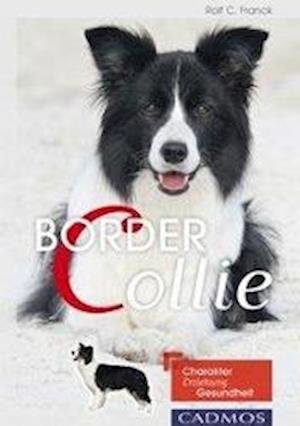 Cover for Franck · Border Collie (Bok)