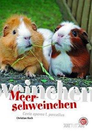 Cover for Christian Koch · Meerschweinchen (Paperback Book) (2009)