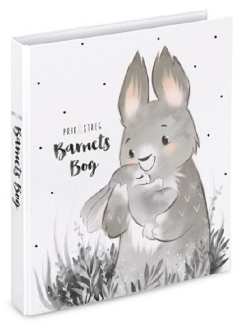 Cover for Prik og Streg · Barnets Bog - Kaniner (Stationery) [1st edition] (2017)