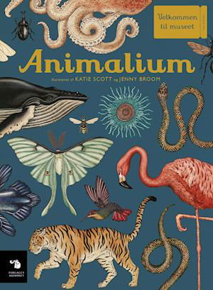 Cover for Katie Scott &amp; Jenny Broom · Velkommen til museet: Animalium (Gebundenes Buch) [1. Ausgabe] (2019)