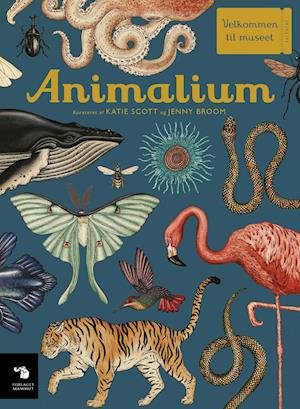 Cover for Katie Scott &amp; Jenny Broom · Velkommen til museet: Animalium (Hardcover bog) [1. udgave] (2019)