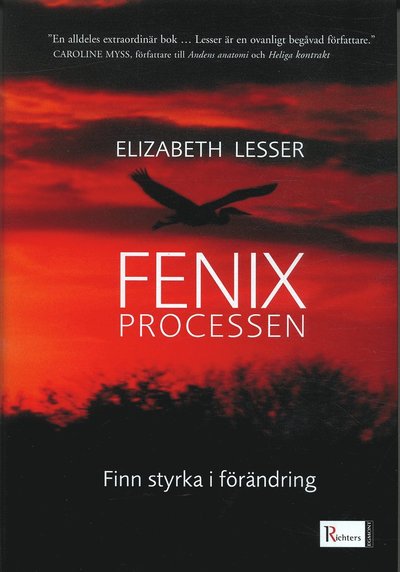 Cover for Elizabeth Lesser · Fenixprocessen : finn styrka i förändring (Bound Book) (2005)