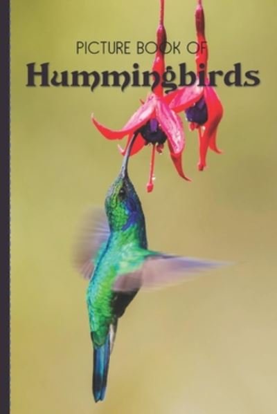 Cover for Old Church Lane Books · Picture Book Of Hummingbirds (Taschenbuch) (2020)