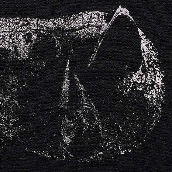 Cover for Demon Head · Viscera (LP) (2021)