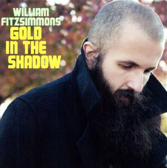 Gold in the Shadow - William Fitzsimmons - Musik - NETWERK - 0067003092111 - 16 april 2011
