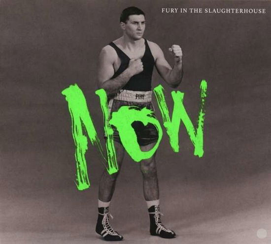 Cover for Fury in the Slaughterhouse · Now (VINYL) (2021)