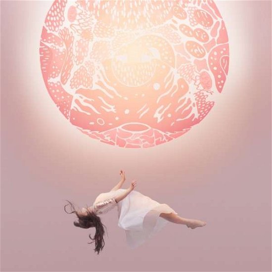 Cover for Purity Ring · Another Eternity (LP) (2015)