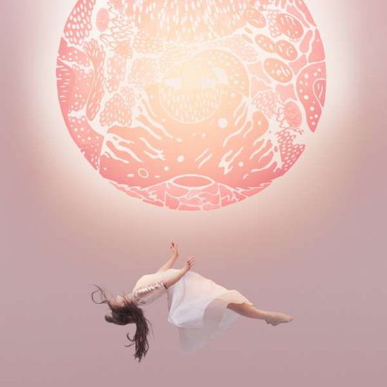 Cover for Purity Ring · Another Eternity (LP) (2015)