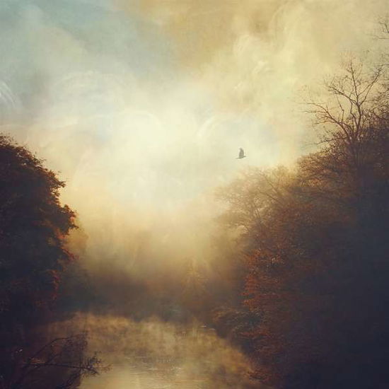 This Light - Stray Theories - Music - N5MD - 0702224130111 - October 8, 2021