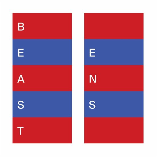 Ens (Coloured Vinyl) - Beast - Música - THRILL JOCKEY - 0790377475111 - 9 de novembro de 2018