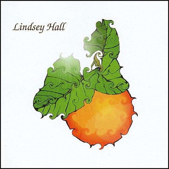 Cover for Lindsey Hall · Strange Case of Dr. Self (CD) (2009)