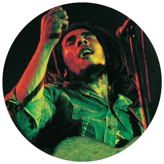 Cover for Bob Marley · Soul of a Rebel (LP) [Picture Disc edition] (2020)