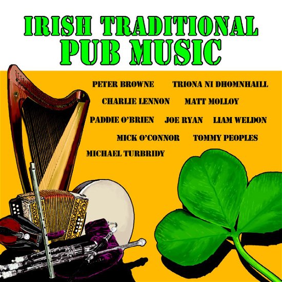 Cover for Castle Ceilidh Band · Irish Traditional Pub Music (CD) (2013)