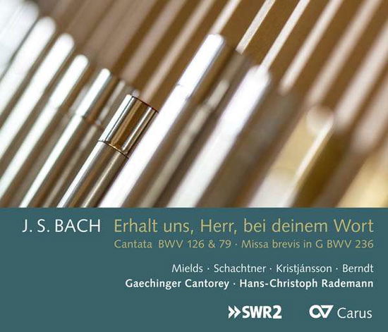 Cover for Bach,j.s. / Mields / Rademann · Erhalt Uns / Herr / Bei Deinem Wort (CD) (2017)