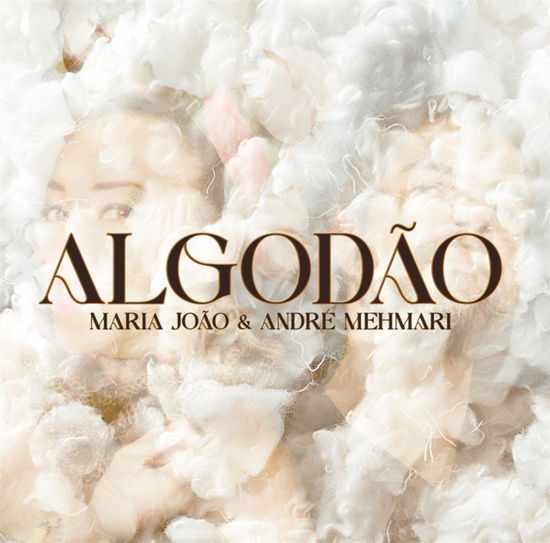 Cover for Maria Joao &amp; Andre Mehmari · Algodao (LP) (2024)