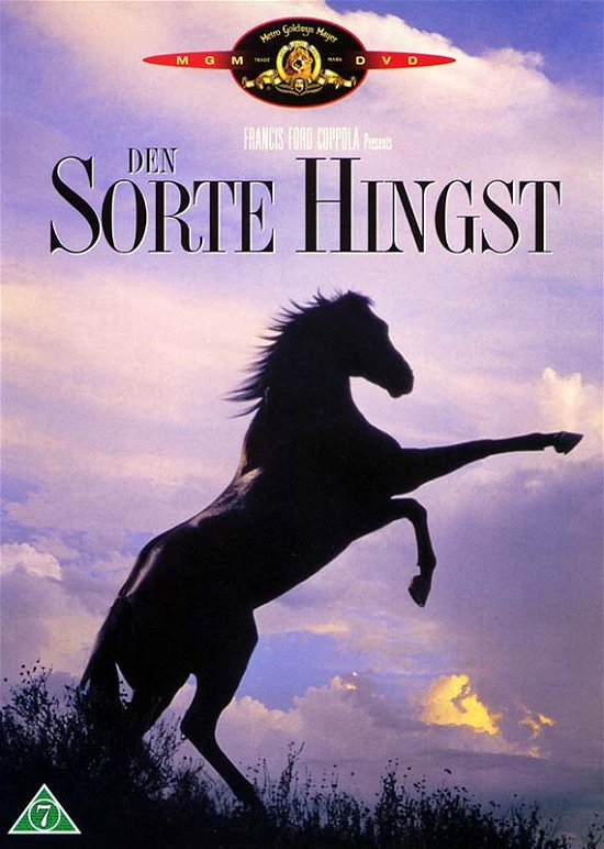Cover for Den Sorte Hingst · Sorte Hingst, den (DVD)