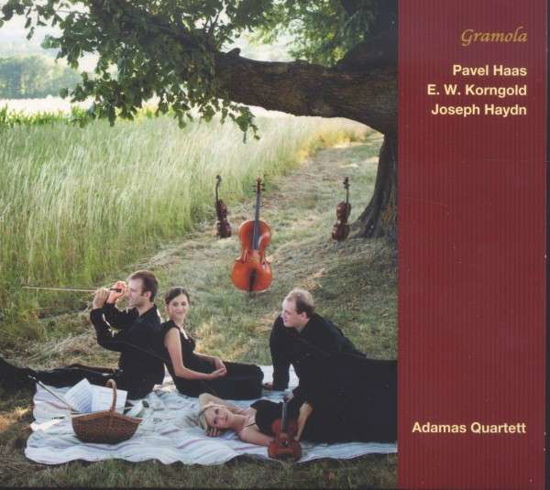 Haasadamas Quartett - Adamas Quartett - Musiikki - GRAMOLA - 9003643990111 - maanantai 4. marraskuuta 2013