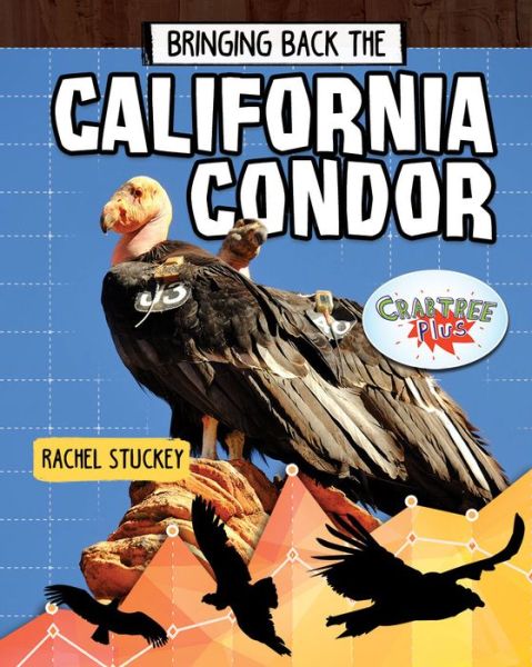 Cover for Rachel Stuckey · Bringing Back the California Condor (Hardcover Book) (2020)