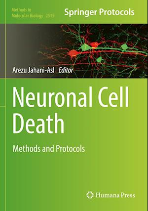Neuronal Cell Death: Methods and Protocols - Methods in Molecular Biology - - Bøger - Springer-Verlag New York Inc. - 9781071624111 - 3. juli 2023