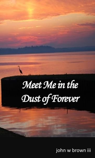 Cover for John Brown · Meet Me in the Dust of Forever (Bog) (2012)