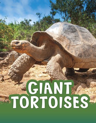 Cover for Jaclyn Jaycox · Giant Tortoises - Animals (Hardcover Book) (2021)