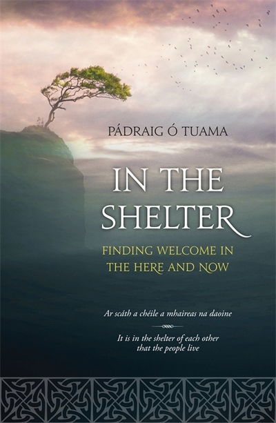 Cover for Padraig O Tuama · In The Shelter (Paperback Book) (2015)