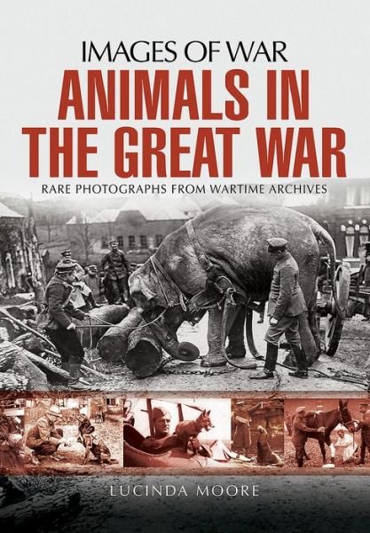 Cover for Lucinda Moore · Animals in the Great War (Paperback Book) (2017)