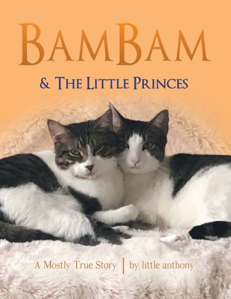 Cover for Little Anthony · Bambam &amp; the Little Princes (Paperback Book) (2020)