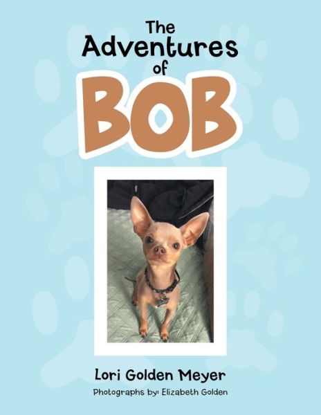 Cover for Lori Golden Meyer · The Adventures of Bob (Paperback Book) (2016)