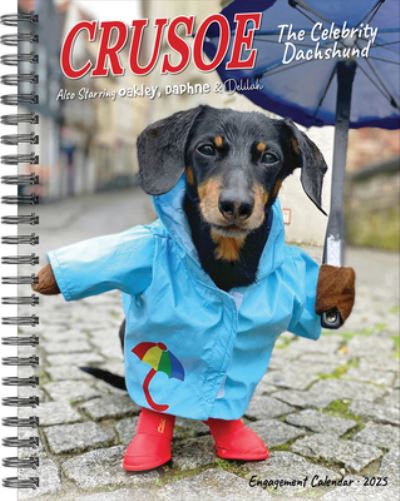 Crusoe the Celebrity Dachshund 2025 6.5 X 8.5 Engagement Calendar -  - Gadżety - Willow Creek Press Calendars - 9781549246111 - 10 września 2024