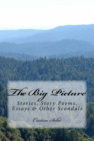 Cover for Cristina Salat · The Big Picture (Paperback Bog) (2018)
